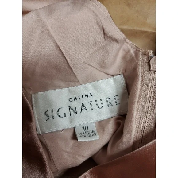 Galina Signature Womens Sz 10 Maxi Satin Dress Oyster Pink Nude Formal Slit NWT - Picture 6 of 9